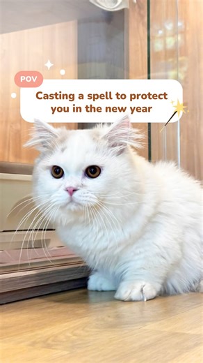 Don’t worry, our head sorceror did his magic! 🪄🔮🐈 Sending purrs, good vibes and positive energy into the new year — love, Neko Neko 🤎 | Neko Neko