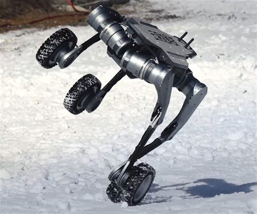 DEEPRobotics Lynx Robot Frolics in the Snow and Water