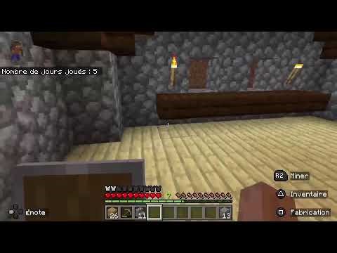 Minecraft survival island 100 Days
