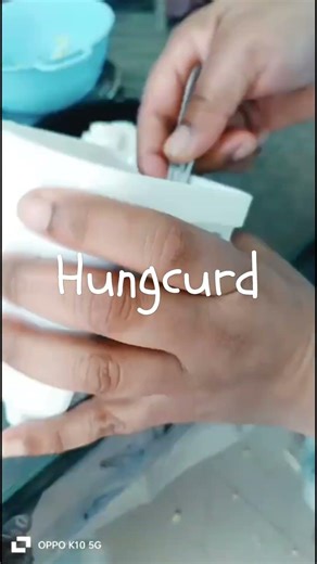 Creamy Curd Sandwich 😍 | Healthy & Tasty Snack #HealthyRecipe