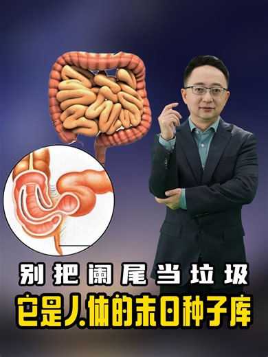 别把阑尾当垃圾 它是人体的末日种子库