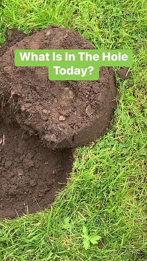 182K views · 1.6K reactions | Daily Digs - What Is In The Hole Today? #metaldetecting #treasure #treasurehunting #metaldetector #dailydigs | DailyDigs | Facebook