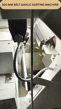 300 mm Belt Garlic Sorting Machine | High Precision Garlic Color Sorter | 📞+91 99943 99996
