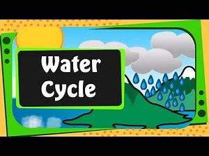 Science - What is Water Cycle - English