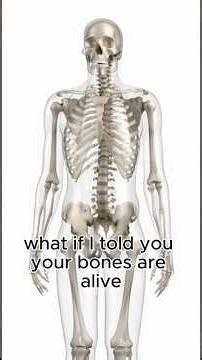 What really happens when your bone breaks #medicalanimation #science