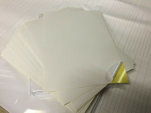 [Hot Item] RoHS Self-Adhesive PE Labels Printing Colorful Small Stickers for Stationery Packagings