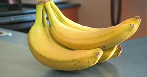 Top 10 Food Myths | Articles on WatchMojo.com