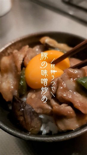【これ一品で完結】豚の味噌炒め