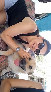 Abbiamo Bisogno di tutti Da oggi Pubblicheremo Sempre questo post così che" Nn sfugga a nessuno Chi è Pedra , inseriremo ovviamente ogni giorno Video nuovi Pedra è arrivata da noi Circa 2 anni fa .. mesi più mesi meno .. Sottratta a Maltrattamenti.. Passava le giornate legata ad un albero Con sua sorella Dafne ( Adottata 3 mesi fa da una nostra adottante Già speciale ) Potesse parlare quell' albero .. Le piccole Venivano picchiate Continuamente,il terrore Nei loro occhi noi nn lo dimenticheremo 