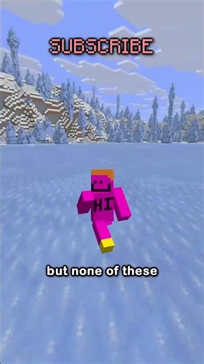 The REAL Rarest Biome in Minecraft...