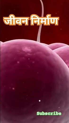 how life starts|fertilization|life process|निषेचन|zygote formation #shorts