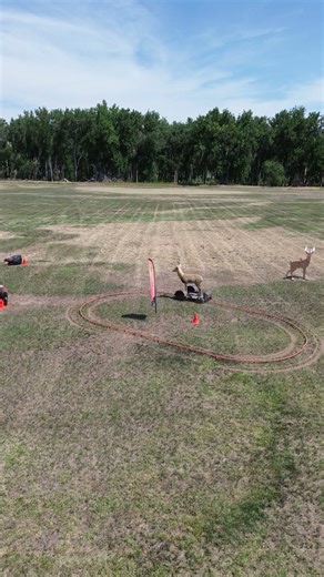 Our "Monster" Moving Target is a Must-Shoot!