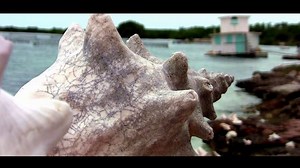 Turks and Caicos Project / Canon Vixia HF S30 / HF S200