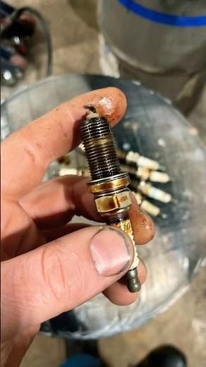 Oily Spark Plugs! Replace the Tube Seals! #automotive #mechanic #diy