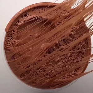 Aww crispy💙♥️ #slime #ASMR | ASMR Ambassador