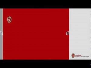 Creating Your Own Zoom Basic Account