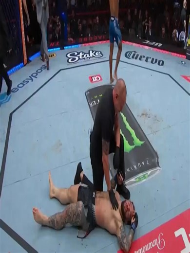 Understanding Referee Decisions in MMA Fights