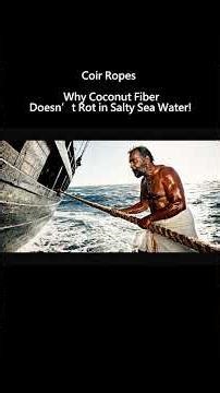 Why Coconut Coir Ropes Don’t Rot in Seawater – The Hidden Science! #Coir #CoconutFiber