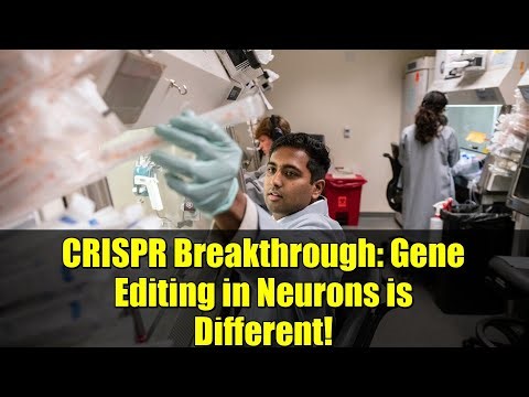 CRISPR Breakthrough: Gene Editing in Neurons is Different!