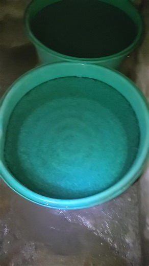 Understanding the Catfish Hatchery Process