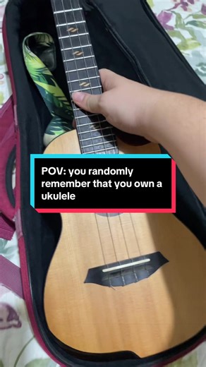 This is your sign to grab your ukulele and start playing again 👀 #ukulele #flightukulele #ukuleletiktok #ukulelesongs #ukuleletutorial