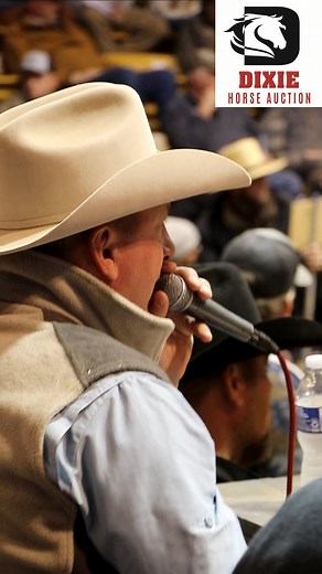 61K views · 269 reactions | Dixie Horse Auction on Reels | Facebook
