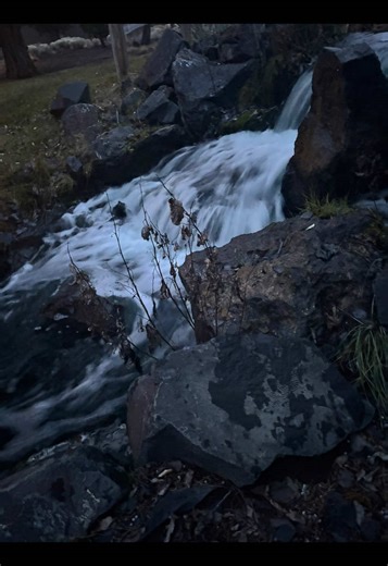 Exploring Unconditional Love and Relationships