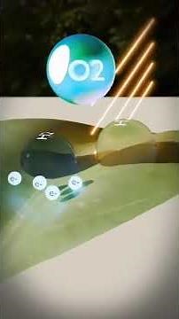 photosynthesis explained through 3D animation