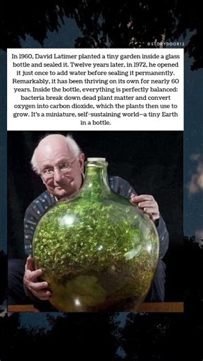 A 60-Year-Old Bottle Garden 🌱🔬