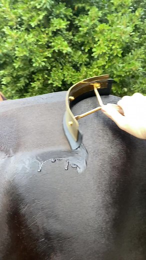 Horse Sweat Scraping with NEW Hairy Pony Gold Scraper