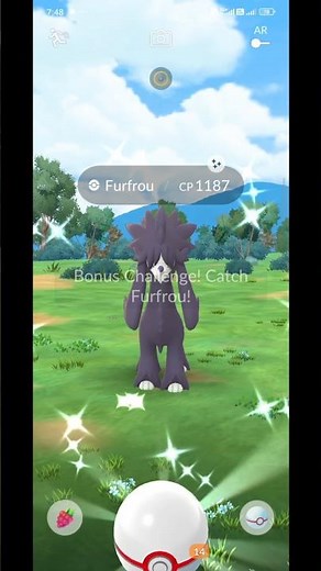 Pokémon go Shiny🌟✨ furfrou Catching Raid battle #pokemongo