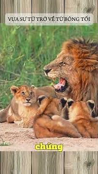 THE LION KING RETURNS FROM THE DARKNESS