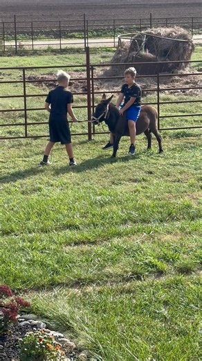 Nothing says let’s get “Hyllingsfest” weekend started quite like getting bucked off the miniature donkey! | Spencer Alan Crowther