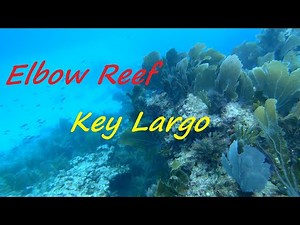 Key Largo Elbow Reef