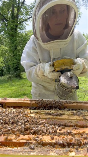 Spring honey is looking sweet! 🐝❤️🍯 | Michelle Wright WTAE
