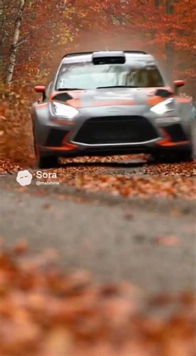 Rally Dog Speeds Through the Track at Full Power! 🐶🔥🏎️