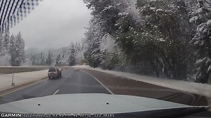 ODOT driver has close call with tree that falls on truck