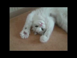 ¿Cómo puedo editar y mezclar colores en CSS?