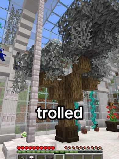 I Snuck Into a German Minecraft SMP | #minecraft #minecraftmemes #minecraftvideo #joeysaf #funny
