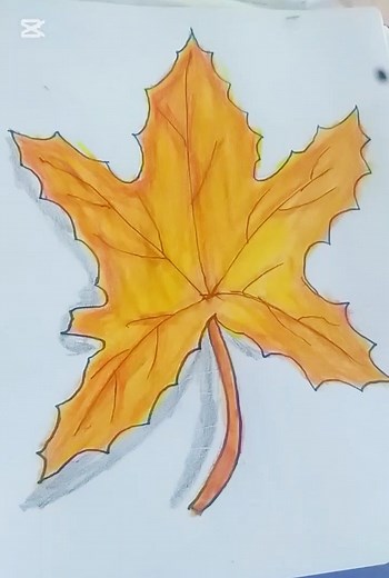 Maple leaf drawing. #reels #love #viral #foryouシ #mapleleafs #drawing #Amazing #facebookreel #viralreelsシ Jahan Artist | Jahan Artist