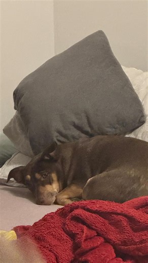 𝒜𝒹𝓇𝒾𝒶𝓃𝓃𝒶 𝒦𝑜𝓈𝓂𝒶𝓉𝓀𝒶 | • Droga z głowy do serca on Instagram: "Te ćwiczenie sprawia, że sytuacje, które te emocje wydostają- nie będą się pojawiać, ponieważ ty sama te emocje wyciągnęłaś, i je wypuściłaś. Egzystencja już nie ma potrzeby Ci tej lekcji pokazywać, bo lekcja została odrobiona. #energia #selfcare #emocje #tuiteraz #istnienie #lekcja #uwolnienie #tantra"