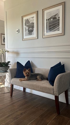 Jurgita | life & interiors | UCG on Instagram: "Transform your space with elegant wall molding! 🏡 Adding wall molding to your walls not only enhances the aesthetic appeal of your home but also adds a touch of sophistication and charm. From intricate crown molding to stylish chair rail molding, these architectural details can elevate the look of any room. Plus, wall molding can help conceal imperfections, create visual interest, and increase the overall value of your home. Elevate your space wit