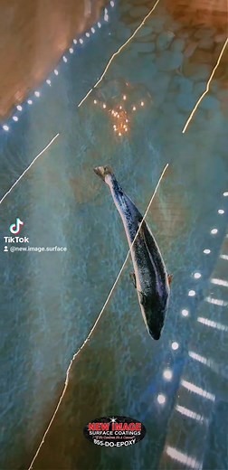 10K views · 134 reactions | Introducing the coolest epoxy floor on the planet!! Alot of planning went into this one and it turned out perfect!!  We hid 6 arrow heads on the river banks to add a little fun. A big shoutout to everyone involved to create this masterpiece. New Image Surface Coatings | Ricky Witt | Facebook