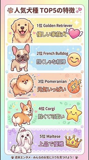 人気犬種 TOP5の特徴 🐶✨ #かわいい
