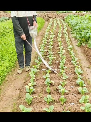 이동식 주택을 활용한 꿀팁