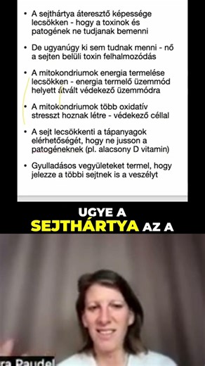 így működnek a sejtjeink