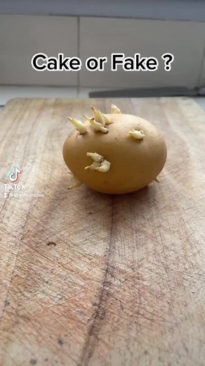 Cake or Fake ?😱👀😳#test #experiment #Foryou #omg #wow #fyp #viral #fy #crazy #play #satisfaisant #cakeorfake