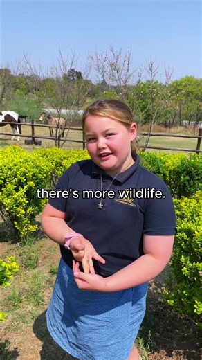 What Students Love About Montessori Education