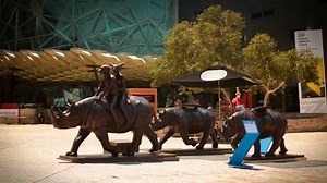 8.2K views · 37 reactions | You can help save lives! There are ONLY THREE Northern White rhinos left in the world. Two years ago we ran a campaign in Melbourne's Federation Square to raise awareness about the devastating impact of rhino poaching. Last year was one of the worst years for rhino poaching. Please share this important video to create awareness because in a blink of an eye, these rhinos might be gone forever! | Gillie and Marc Art | Facebook