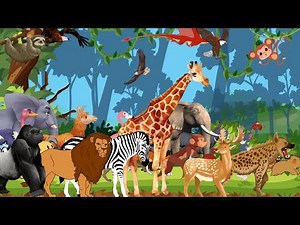 Zoo Safari Animal Sound Song | ABC Alphabet Animals | Kids Smart Learning